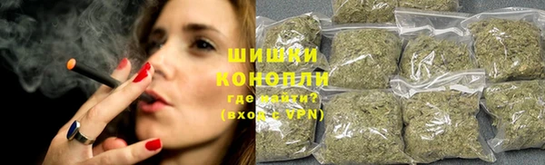 ГАЛЛЮЦИНОГЕННЫЕ ГРИБЫ Волосово
