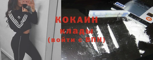 ГАЛЛЮЦИНОГЕННЫЕ ГРИБЫ Волосово