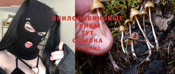 гидропоника Костерёво