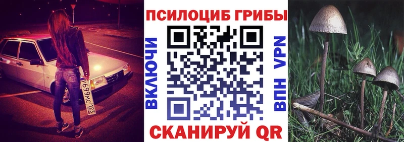 Галлюциногенные грибы Psilocybe  Дальнереченск 